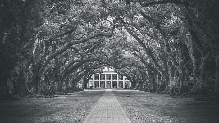 Oak Alley
